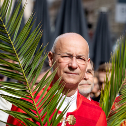 2025 Palmsonntag / Erzdiözese Wien/ Schönlaub, Stephan Schönlaub