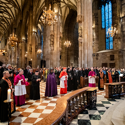Erzdiözese Wien/ Schönlaub, Stephan Schönlaub