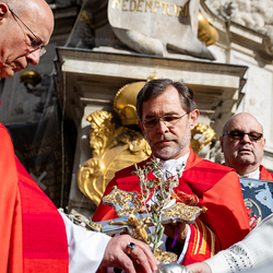 2025 Palmsonntag / Erzdiözese Wien/ Schönlaub, Stephan Schönlaub