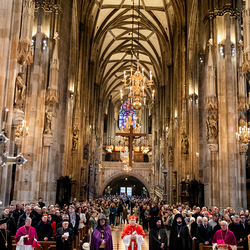 Erzdiözese Wien/ Schönlaub, Stephan Schönlaub