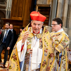 Te-Deum Papst Leo XIV / Erzdiözese Wien/Schönlaub, Stephan Schönlaub
