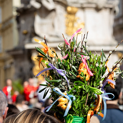 2025 Palmsonntag / Erzdiözese Wien/ Schönlaub, Stephan Schönlaub