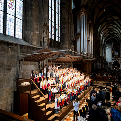 Klemensfest / Erzdiözese Wien/Schönlaub