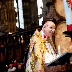 Te-Deum Papst Leo XIV / Erzdiözese Wien/Schönlaub, Stephan Schönlaub