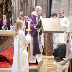 Bischofsprimizmesse Perchtholdsdorf / Erzdiözese Wien/Schönlaub