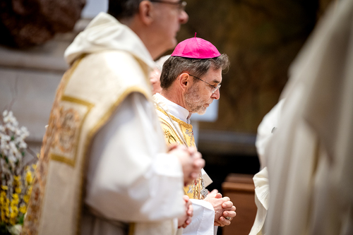 Priesterweihe Ambruster / Erzdiözese Wien/Schönlaub