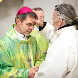 Erzdiözese Wien/Schönlaub