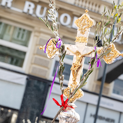 2025 Palmsonntag / Erzdiözese Wien/ Schönlaub, Stephan Schönlaub