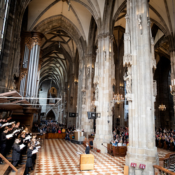 2025 Palmsonntag / Erzdiözese Wien/ Schönlaub, Stephan Schönlaub