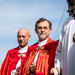 2025 Palmsonntag / Erzdiözese Wien/ Schönlaub, Stephan Schönlaub