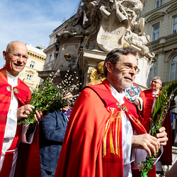 2025 Palmsonntag / Erzdiözese Wien/ Schönlaub, Stephan Schönlaub