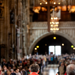 2025 Palmsonntag / Erzdiözese Wien/ Schönlaub, Stephan Schönlaub