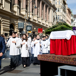 2025 Palmsonntag / Erzdiözese Wien/ Schönlaub, Stephan Schönlaub